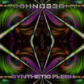 Buy Technossomy - Synthetic Flesh Mp3 Download