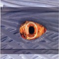 Buy Decoded Feedback - Combustion Mp3 Download