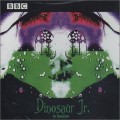 Buy Dinosaur Jr. - In Session Mp3 Download