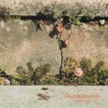 Buy Dub Constructor - Ulitka Zen Mp3 Download