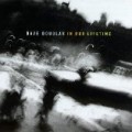 Buy Dave Douglas - In Our Lifetime Mp3 Download
