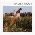 Buy Walter Trout - Common Ground Mp3 Download