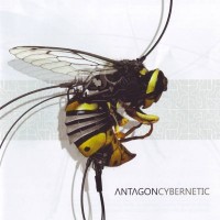 Purchase Antagon - Cybernetic