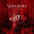 Buy Synarchy - Scars Of Gratitude Mp3 Download