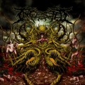 Buy Ingested - Surpassing The Boundaries Of Human Suffering Mp3 Download