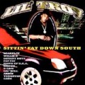Buy Lil Troy - Sittin' Fat Down South Mp3 Download