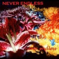 Purchase Never Endless - Never Endless