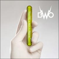 Purchase BWO - You're Not Alone (CDM)