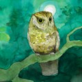 Buy Sleeping At Last - Storyboards Mp3 Download