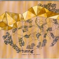 Purchase Tunng - Comments Of The Inner Chorus