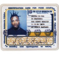 Purchase Ol' Dirty Bastard - Return To The 36 Chambers: The Dirty Version