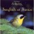 Buy Dan Gibson's Solitudes - Songbirds At Sunrise Mp3 Download