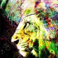 Buy Heartland - Frontier Mp3 Download