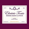 Buy Medeski Martin & Wood - Electric Tonic Mp3 Download