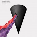 Buy Ginger Ninja - Wicked Map Mp3 Download