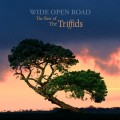 Buy The Triffids - Wide Open Road: The Best Of Mp3 Download