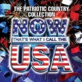 Buy VA - Now That's What I Call The USA Mp3 Download