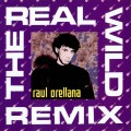 Buy Raul Orellana - The Real Wild House Mp3 Download
