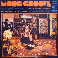 Purchase The Electronic Concept Orchestra - Moog Groove