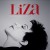 Buy Liza Minnelli - Confessions Mp3 Download