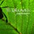 Purchase 32 Leaves- Panoramic MP3