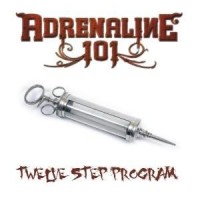 Purchase Adrenaline 101 - Twelve Step Program