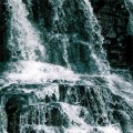 Buy Celestiial - Where Life Springs Eternal Mp3 Download