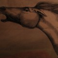 Buy Julian Lynch - Mare Mp3 Download