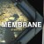 Buy Membrane - Disaster Mp3 Download
