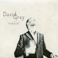Buy David Gray - Foundling CD1 Mp3 Download