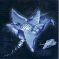 Buy Counter-World Experience - Leaving Lotus Mp3 Download