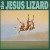 Buy The Jesus Lizard - Down Mp3 Download