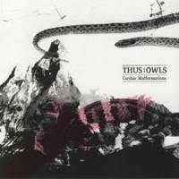 Purchase Thus: Owls - Cardiac Malformations