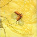 Buy The Blinding Light - Junebug Mp3 Download