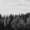 Buy October Falls - A Collapse of Faith Mp3 Download