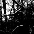 Buy Encircling Sea - Ecru Mp3 Download