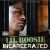 Buy Lil Boosie - Incarcerated Mp3 Download