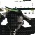 Buy Bill Evans - The Very Best Of CD1 Mp3 Download