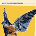 Buy Jimmy Chamberlin Complex - Life Begins Again Mp3 Download