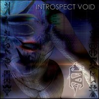 Purchase Introspect Void - Reality Is Defective