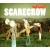 Purchase The Pillows- Scarecrow (CDS) MP3