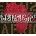 Buy VA - In The Name Of Love - Africa Celebrates U2 Mp3 Download