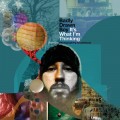 Buy Badly Drawn Boy - It's What I'm Thinking Part One: Photographing Snowflakes Mp3 Download