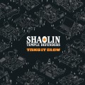 Buy Shaolin Temple Defenders - Take It Slow Mp3 Download