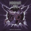 Buy Denouncement Pyre - World Cremation Mp3 Download
