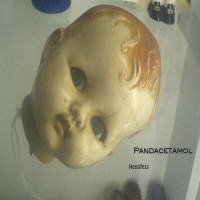 Purchase Pandacetamol - Headless