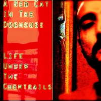 Purchase A Red Cat In The Doghouse - Life Under The Chemtrails