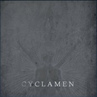 Purchase Cyclamen - Senjyu