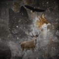 Buy Sny Moego Neba - Animals Mp3 Download