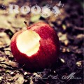 Buy Rooga - Behind The Mirror Mp3 Download